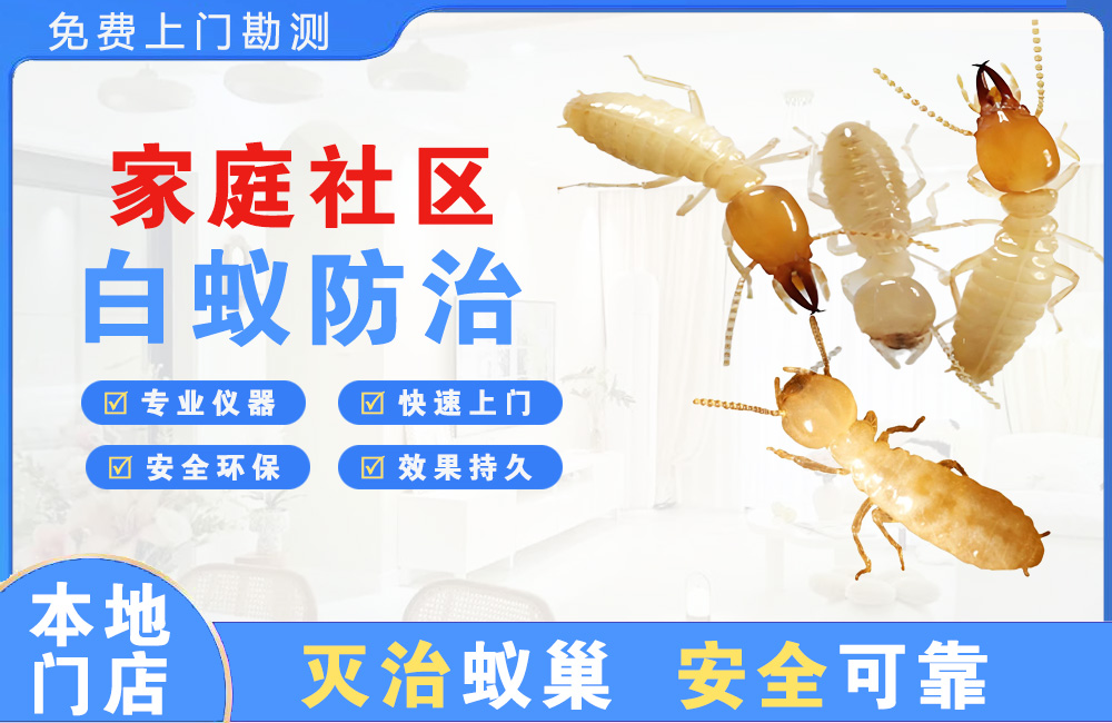 常熟家庭社区白蚁防治