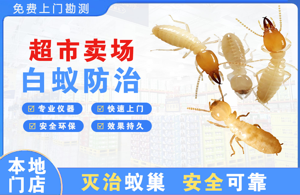 常熟超市卖场白蚁防治