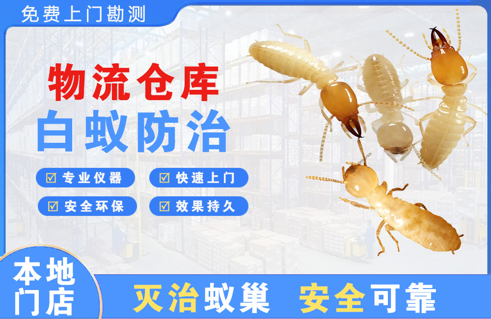 常熟物流仓库白蚁防治