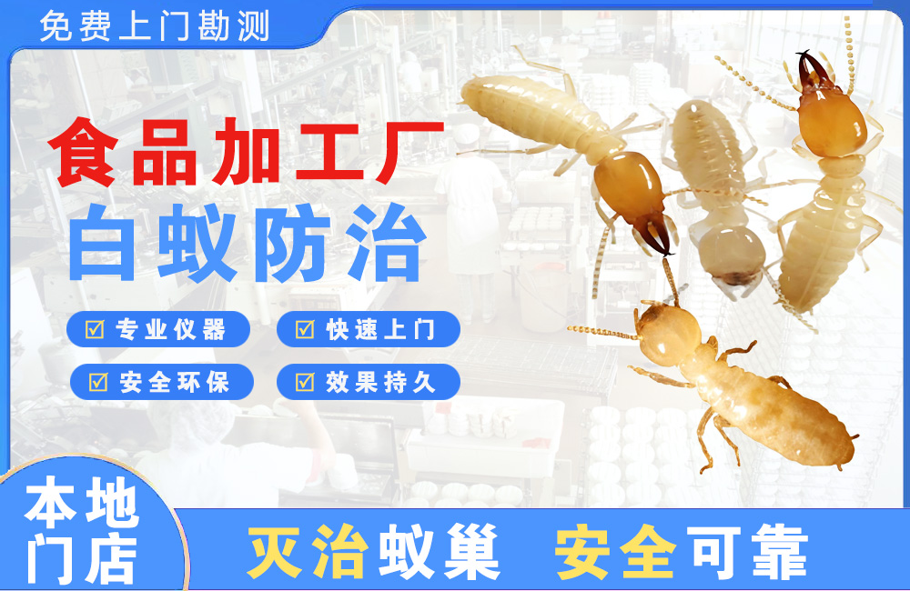 常熟食品加工厂白蚁防治