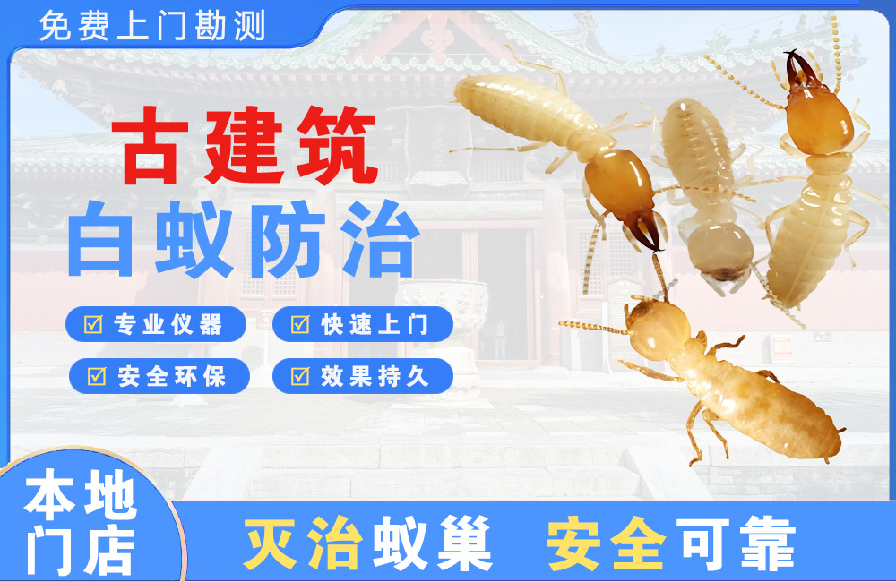 常熟古建筑白蚁防治