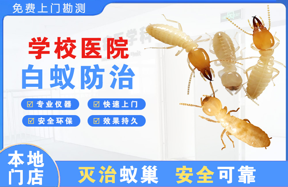 常熟学校医院白蚁防治