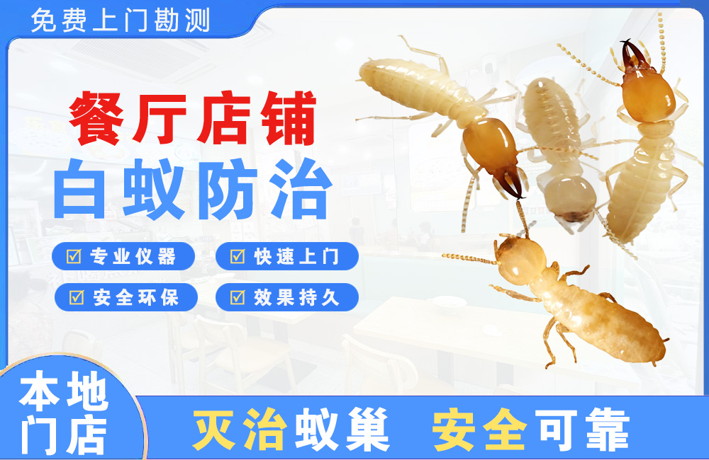 常熟餐厅店铺白蚁防治